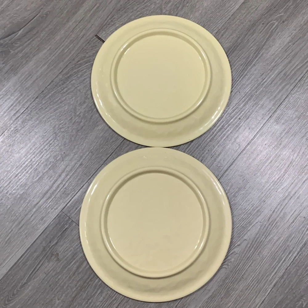Pier 1 Imports “Tropical Pineapple” Vintage Melamine 9” Plates set of 2